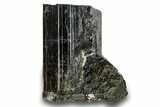 Black Tourmaline (Schorl) Crystal - Leduc Mine, Quebec #244926-1